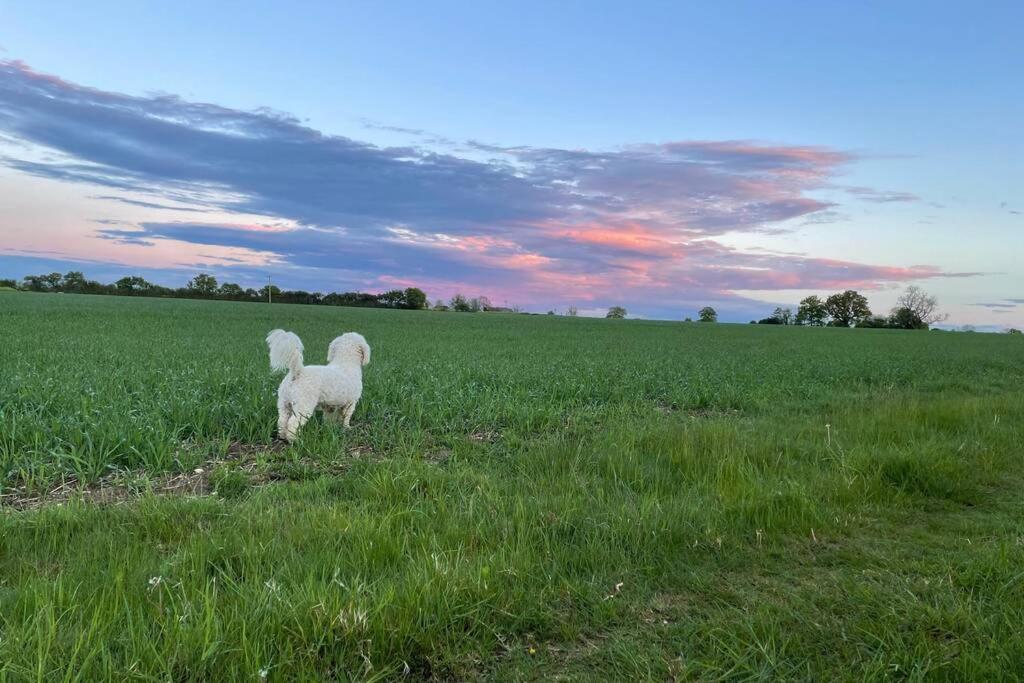 Immaculate Barn Annexe Close To Stansted Airport Грейт Дънмоу Екстериор снимка